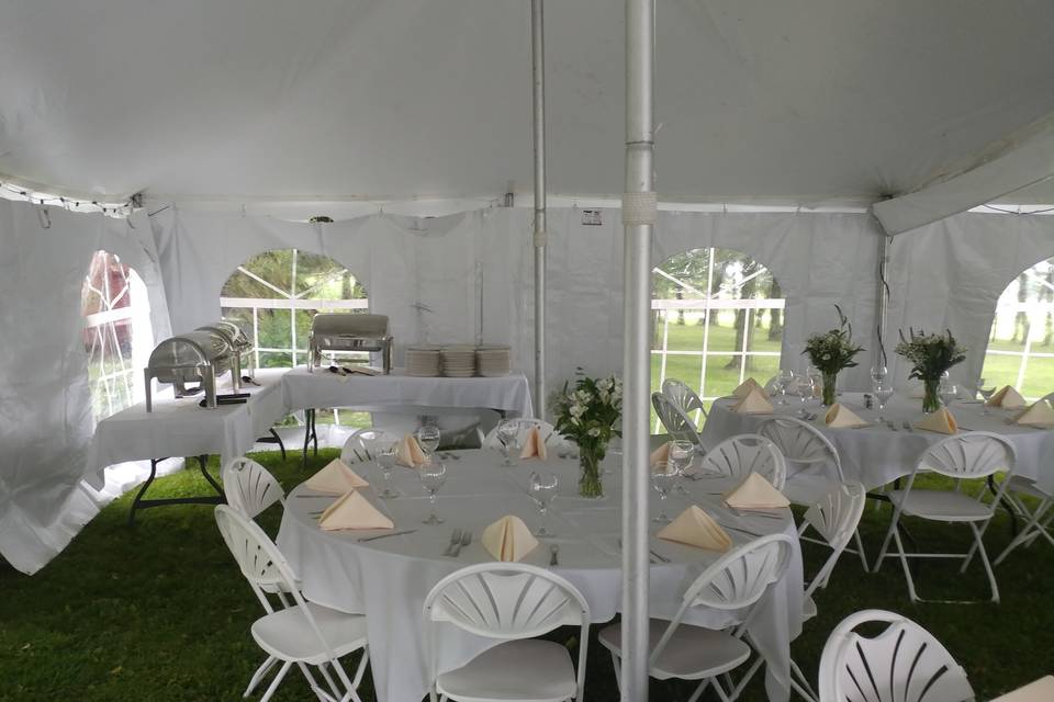 Off site back yard venue for 85 guests. Butler passed appetizers, buffet style and plated salad and cake selections