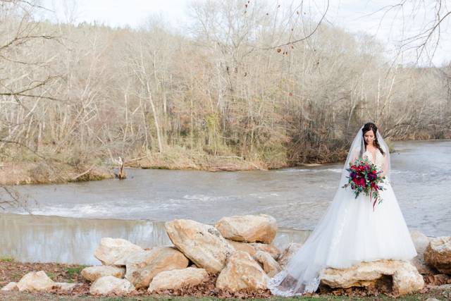 Photography by Elizabeth Anne