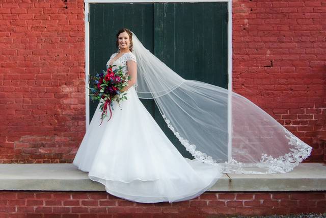 Photography by Elizabeth Anne