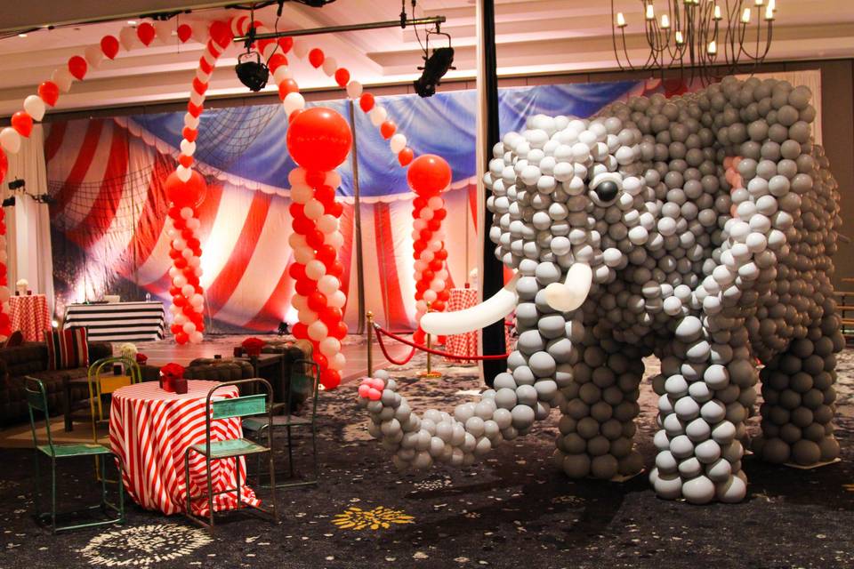 Balloon elephant/dance floor