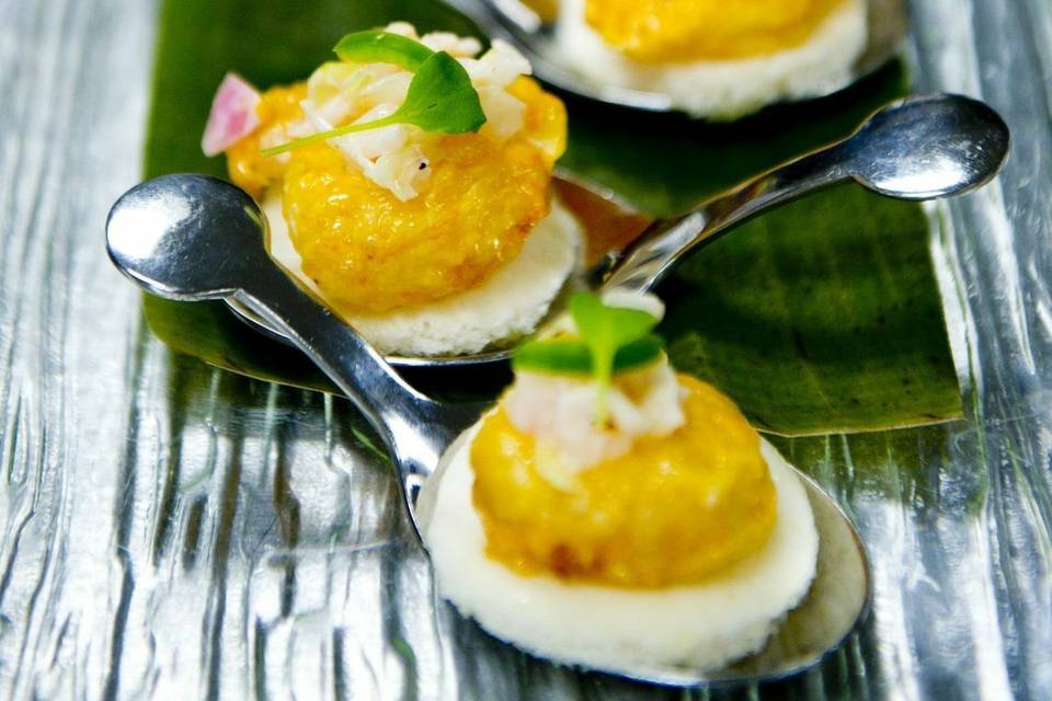 Appetizer