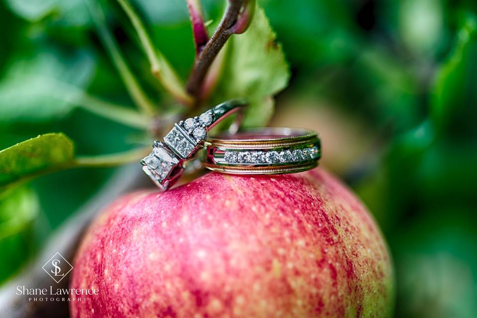 Rings and an Apple
