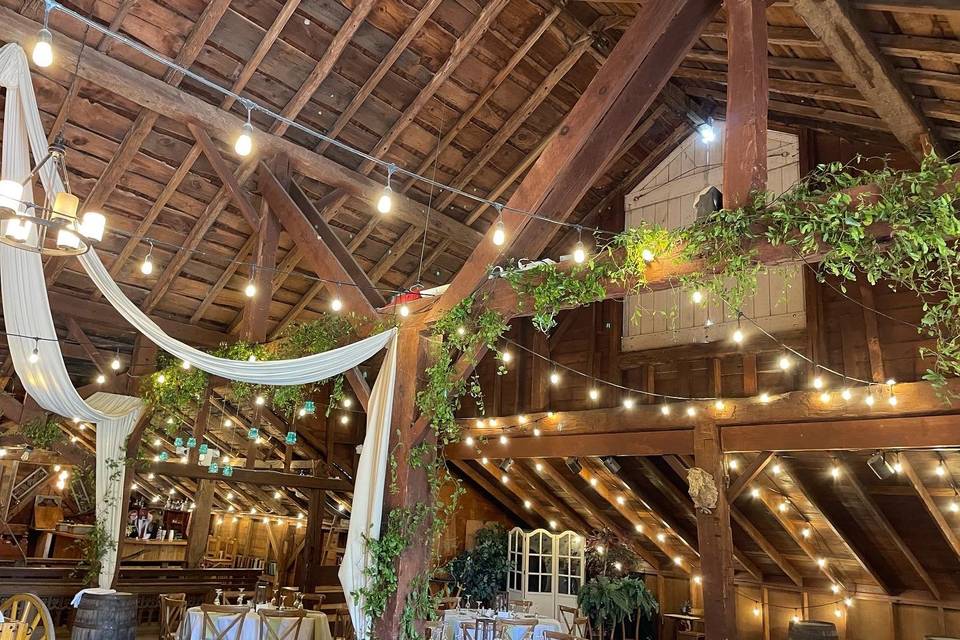 Greenery on beams