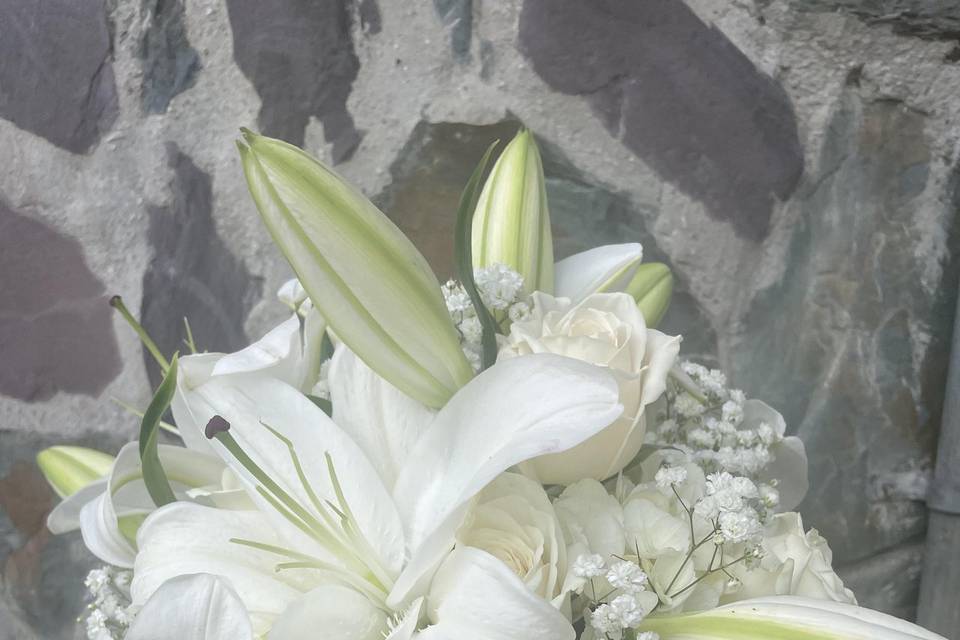 Beautiful lilies