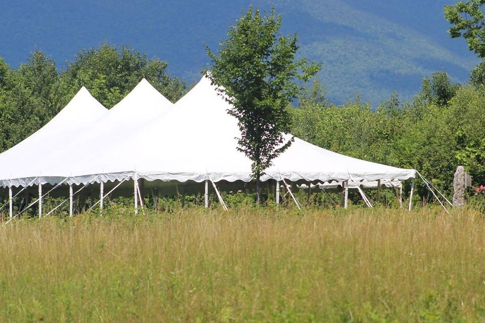 Tent in the field