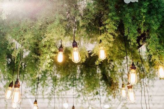 Edison bulb chandelier, greens