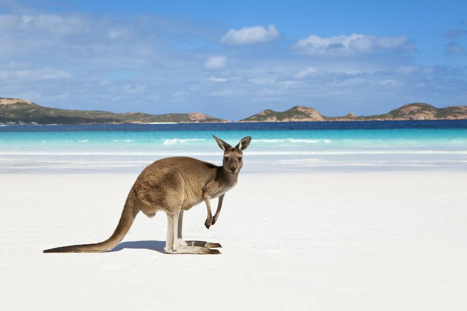 The beaches of Australia