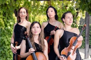 Synchronicity Strings