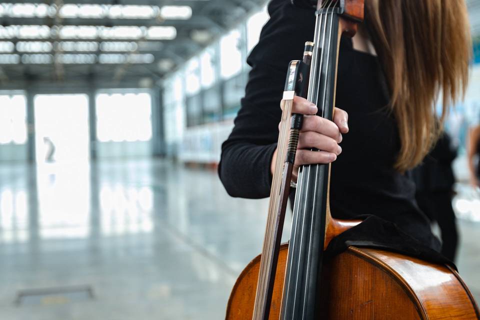 Synchronicity Strings Cello