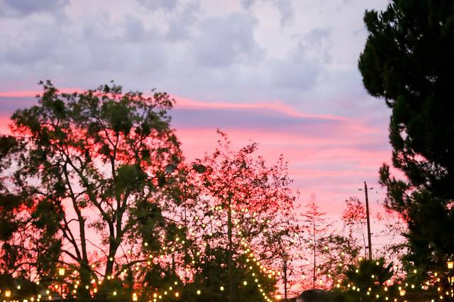 Koi Gardens Sunset