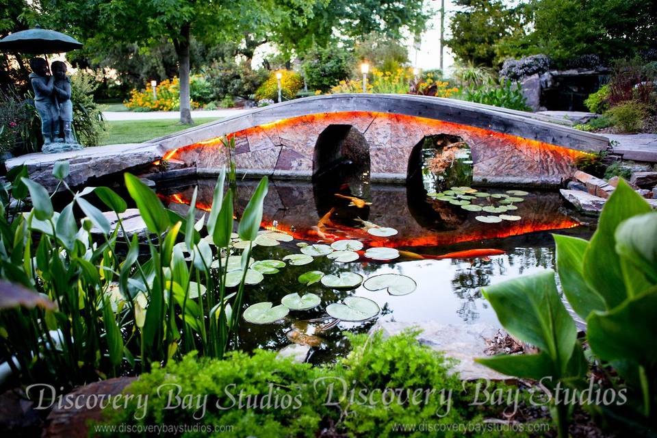 Koi gardens bridge