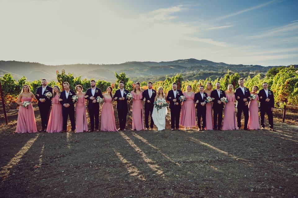 Bridal Party in the Vineyards