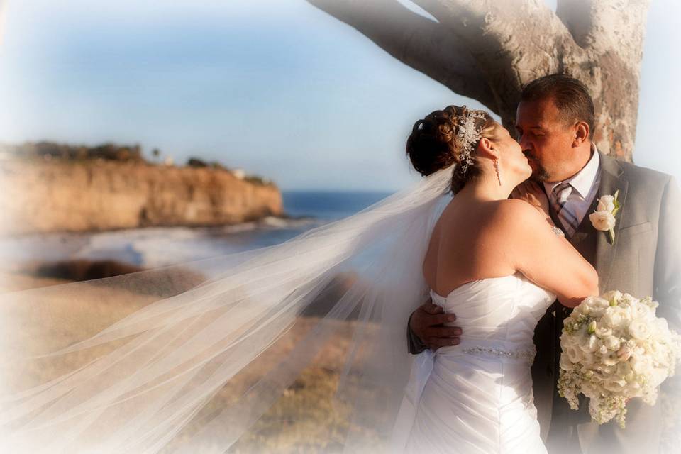 Magic Wedding Photography & Video