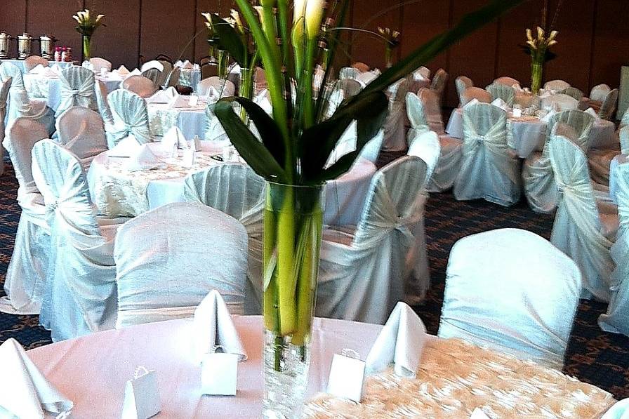 Elegant Event Creations