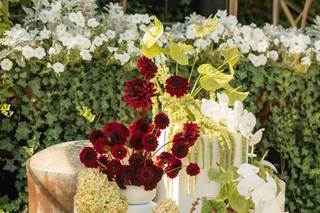 Dancing Stems Design