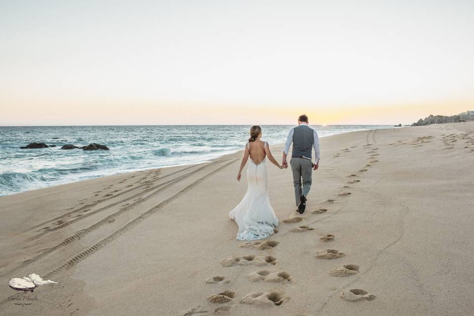 Beach Weddings