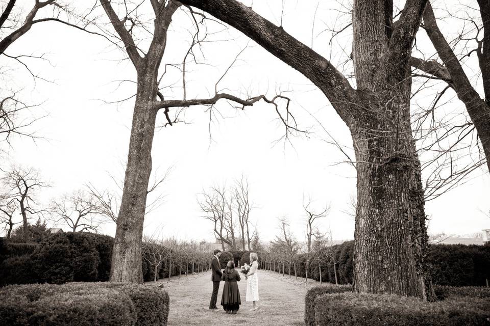 January Elopement