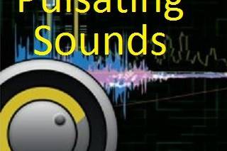 Pulsating Sounds DJ Entertainment