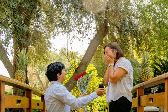 Proposal Jin & Jackie