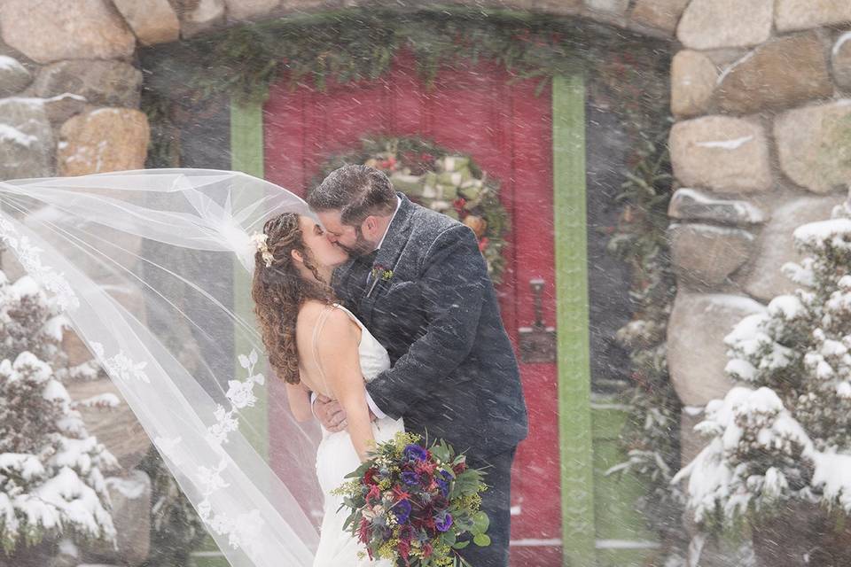 Winter wedding willowdale
