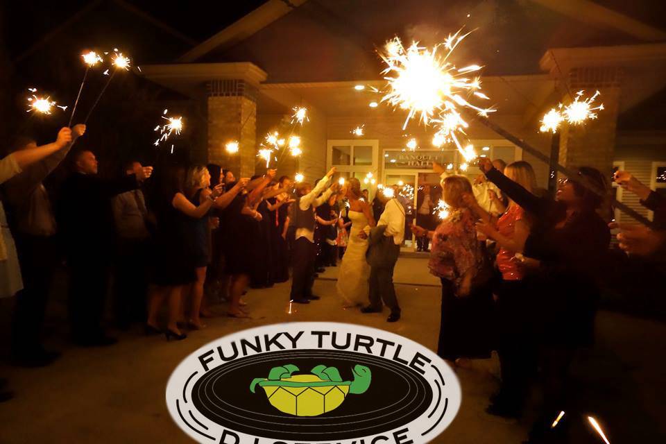 Funky Turtle DJ Service