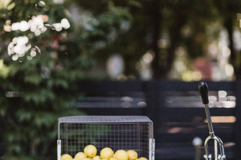 Lemonade Action Station