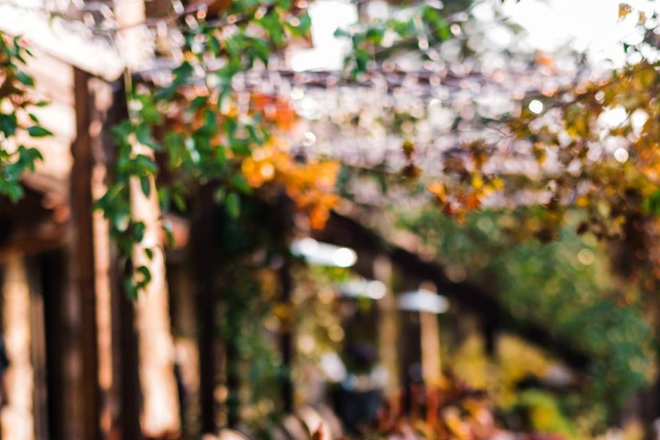 Beautiful Fall tablescape