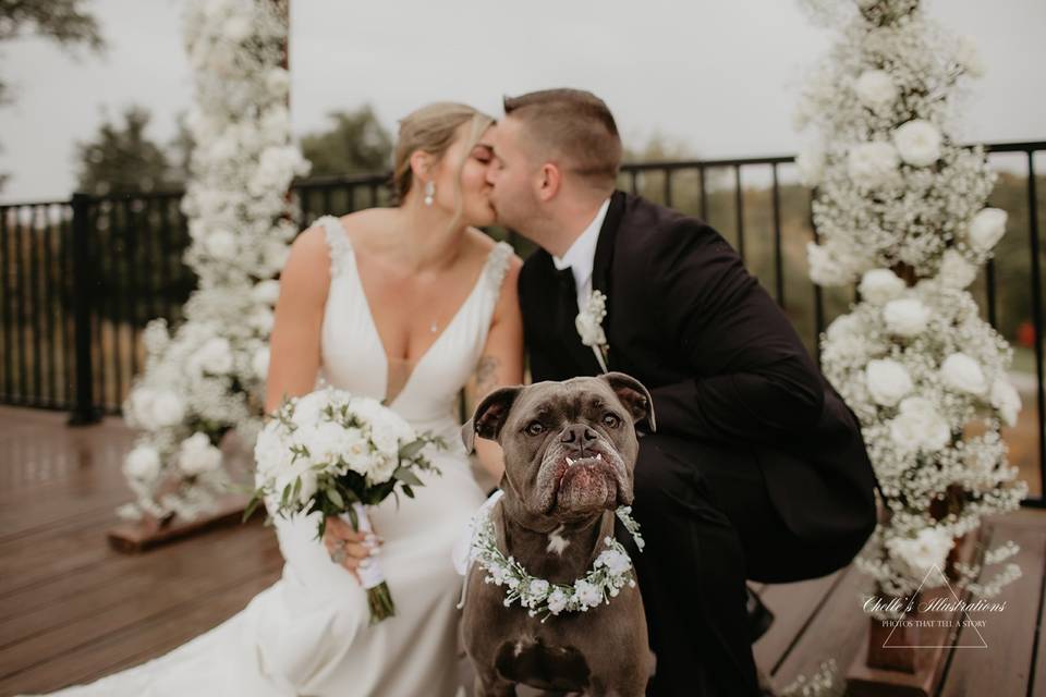 Dog in Wedding Ceremony