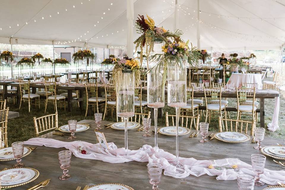 Reception in Outdoor Tent