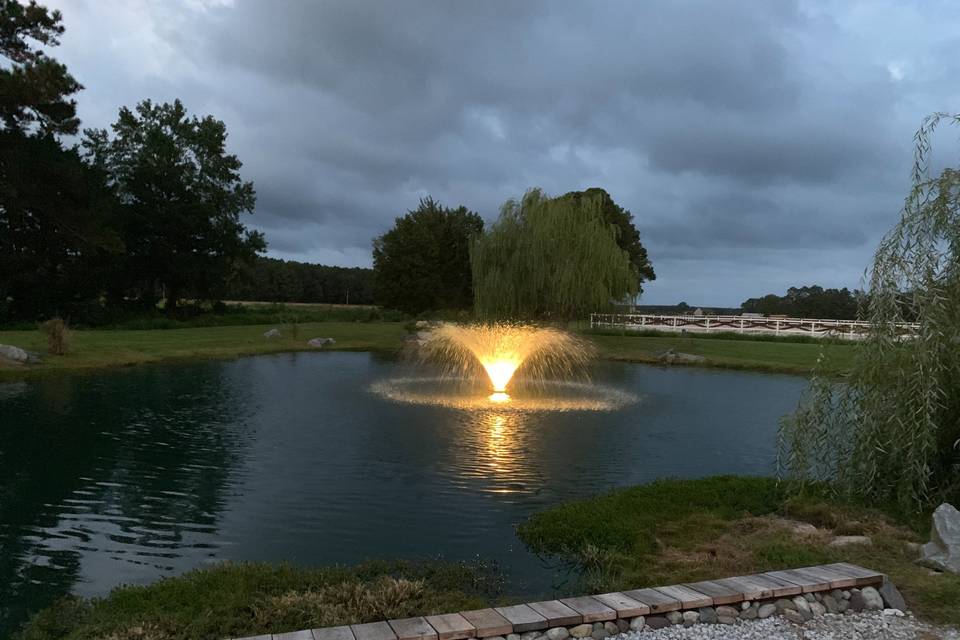 The pond fountain