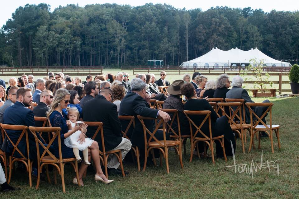 Ceremony chairs