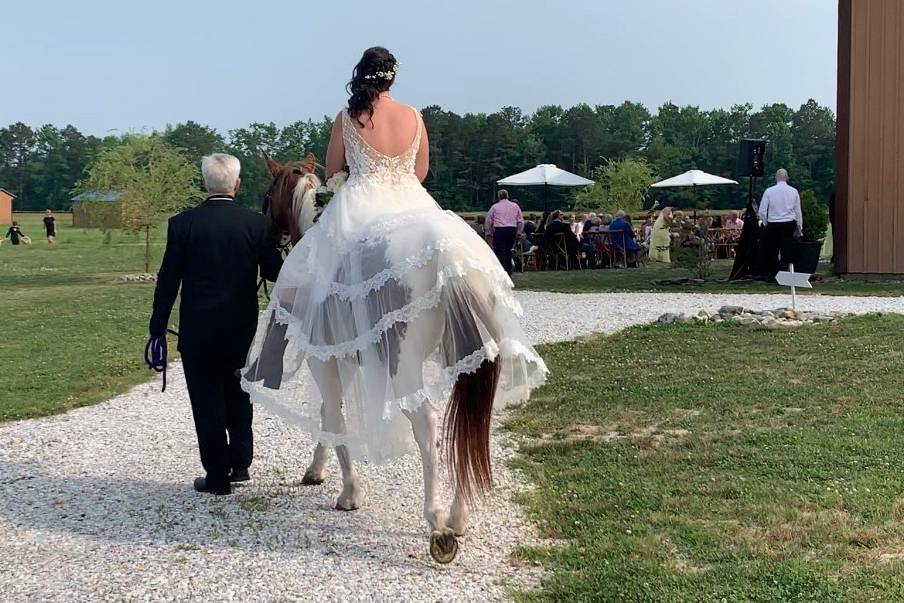 Daddy leading her down aisle