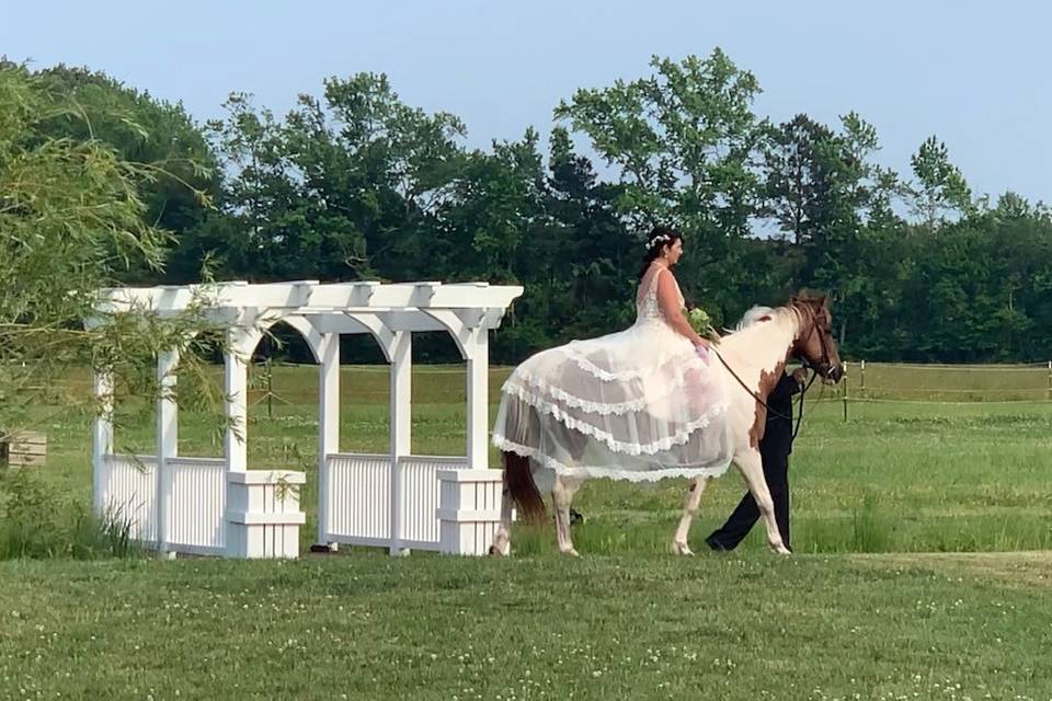 Bride Riding down Aisle