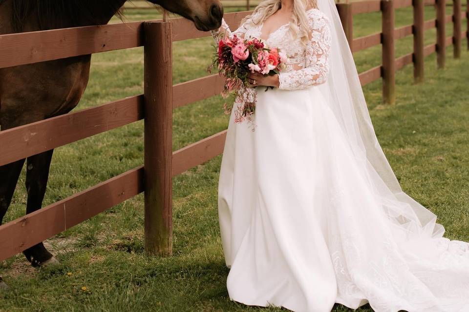 Brides and Andalusians