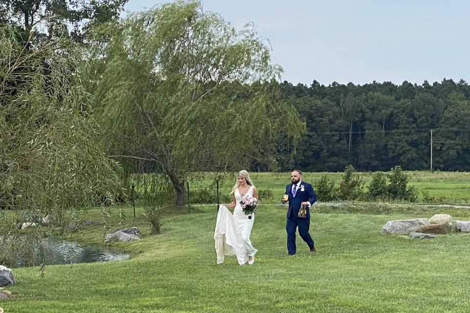 A walk by the pond