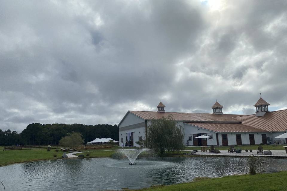 The pond fountain