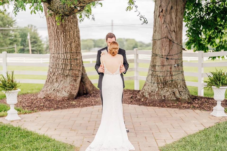 First look under tree