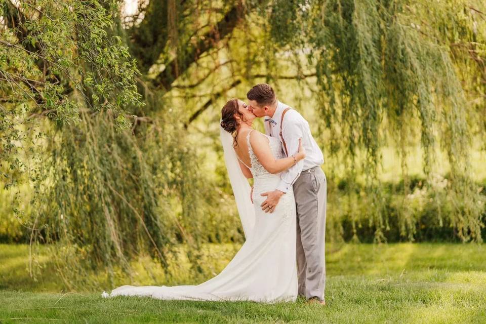 Under a willow tree