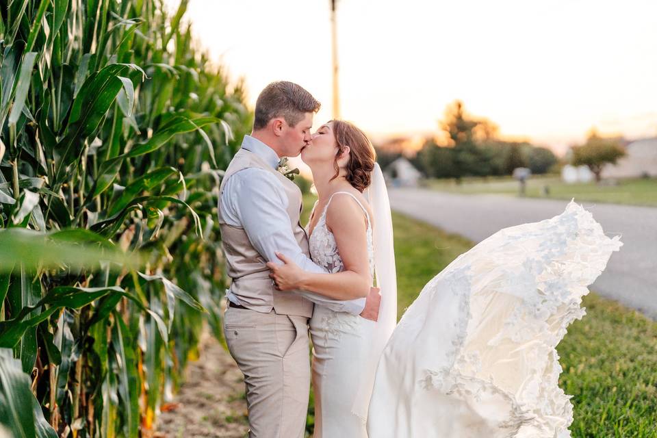 Bride and groom and cornfield