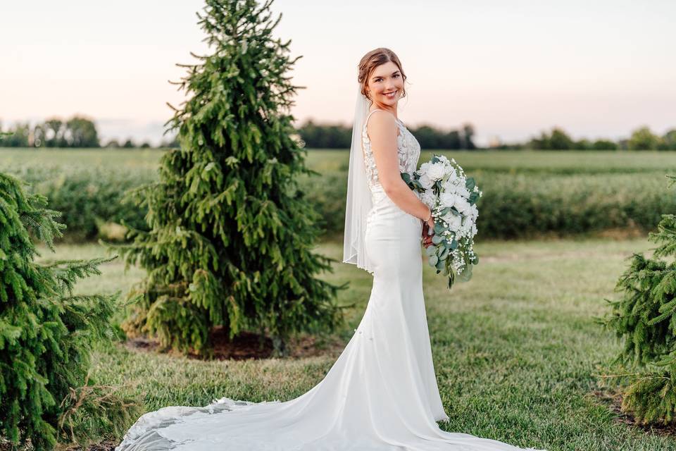Bride in cornfield at sunset