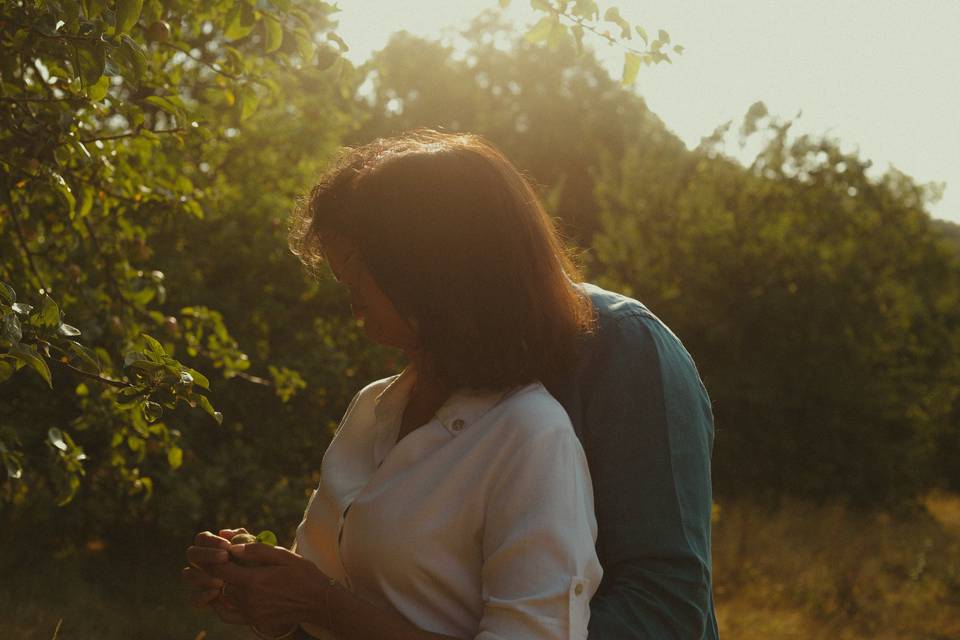 Apple picking
