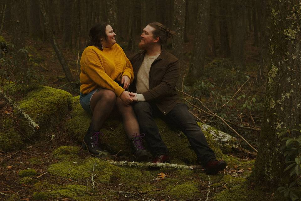 Forest engagement