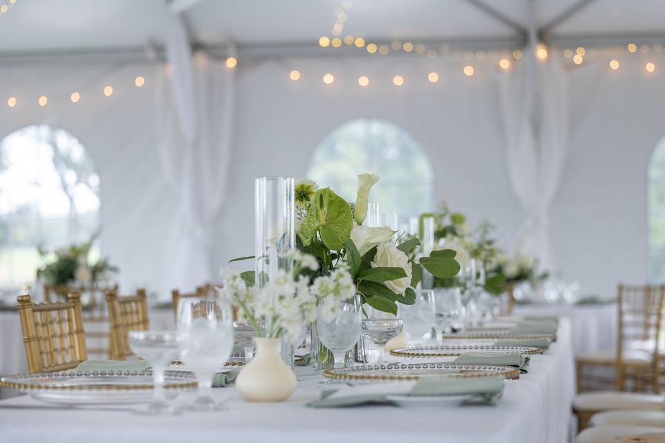 Dinner setup in the tent