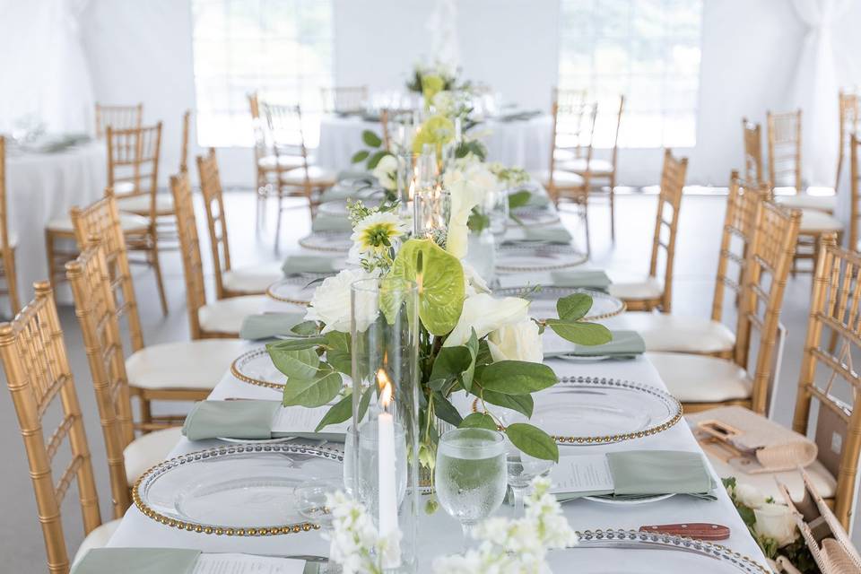 Dinner setup in the tent