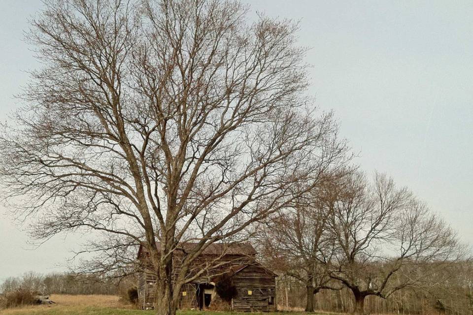 Cunningham Creek Winery