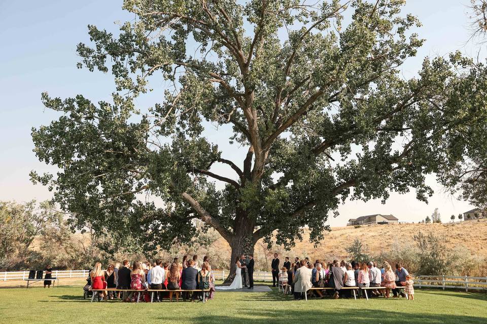 Camelot Ranch Wedding