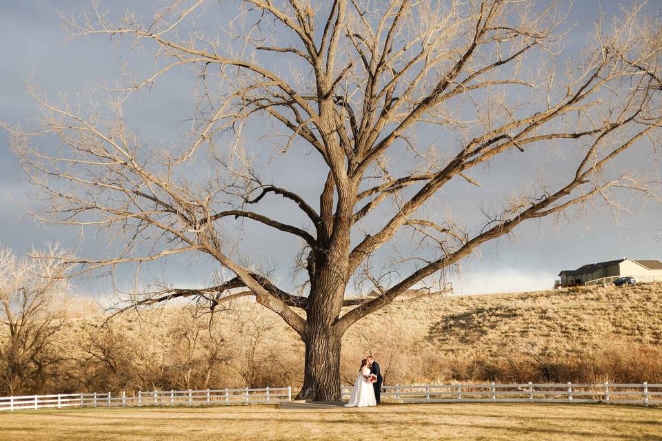 Camelot Ranch Wedding