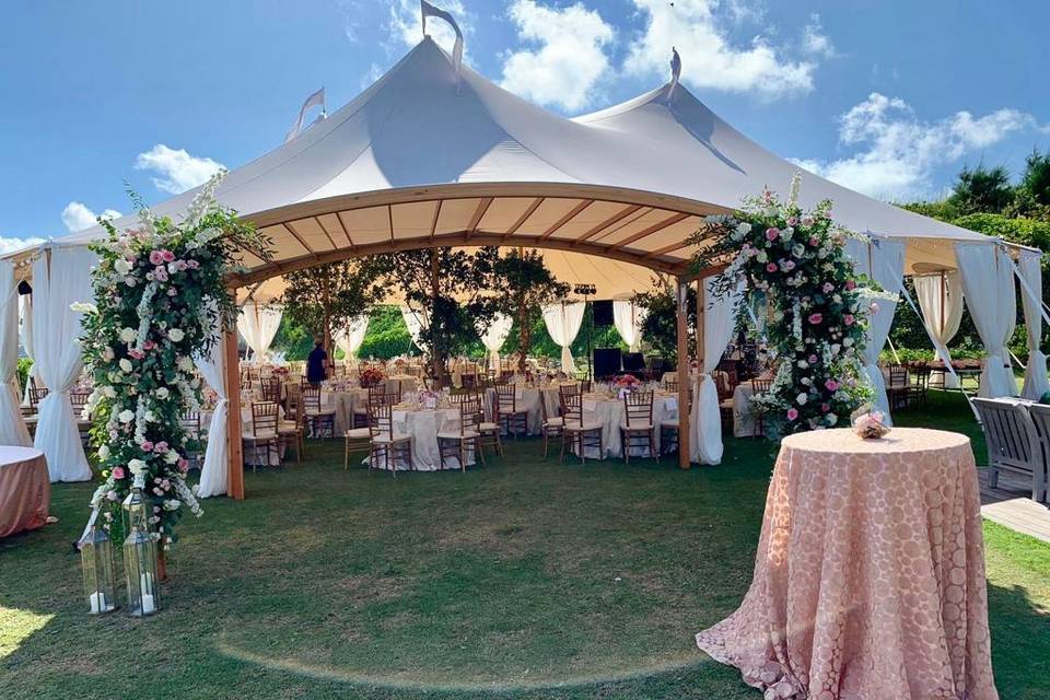 Elegance under the tent