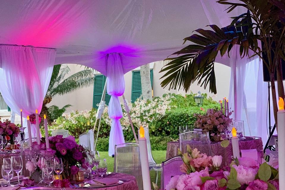 David Tutera event 2019