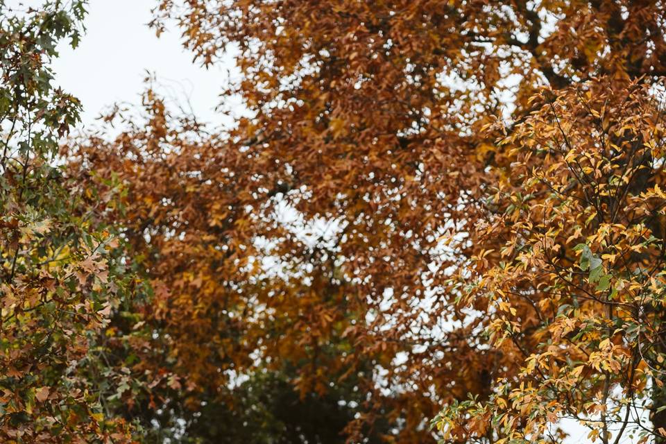 Greenhouse Two Rivers